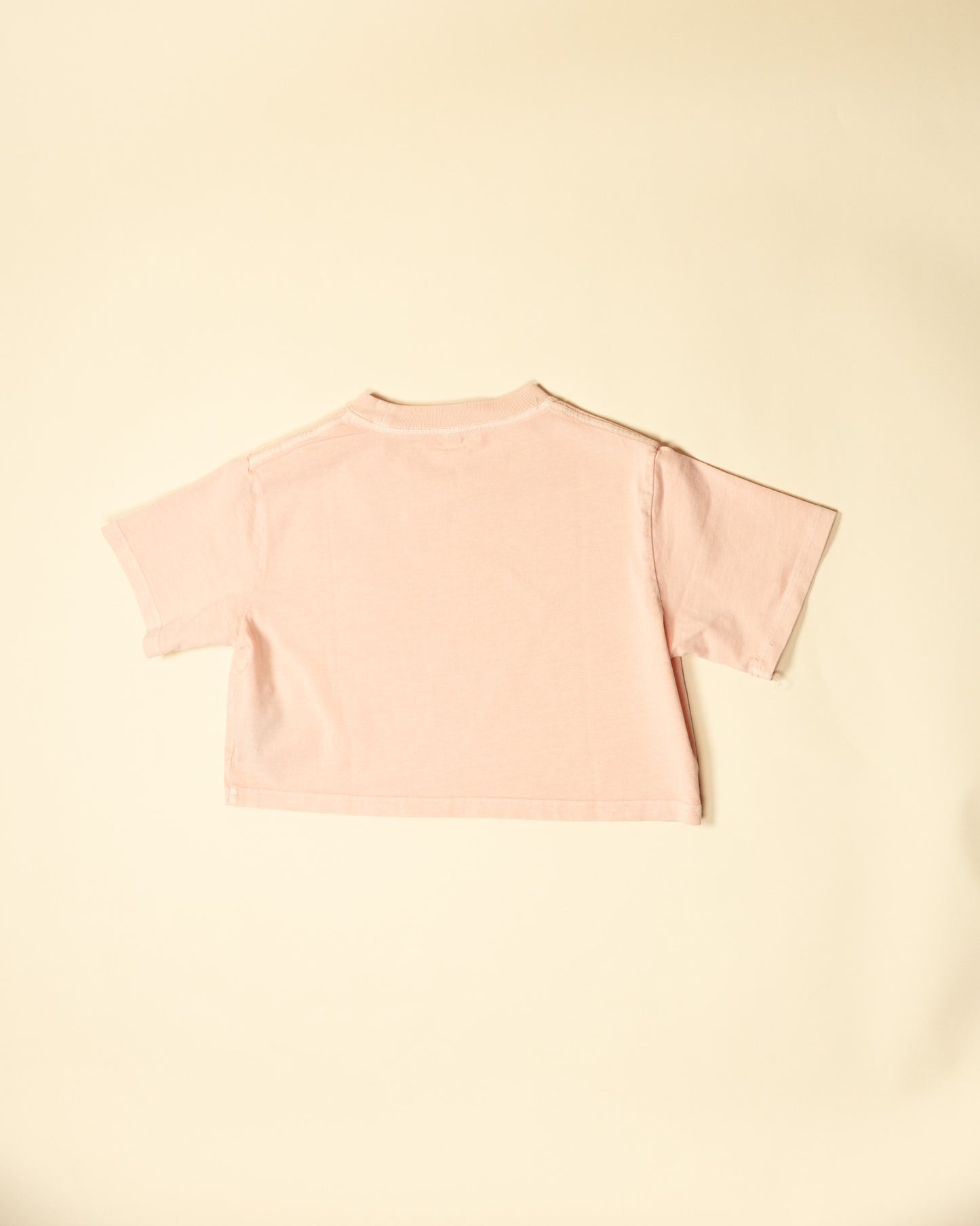 Flight Crop Tee in Pink
