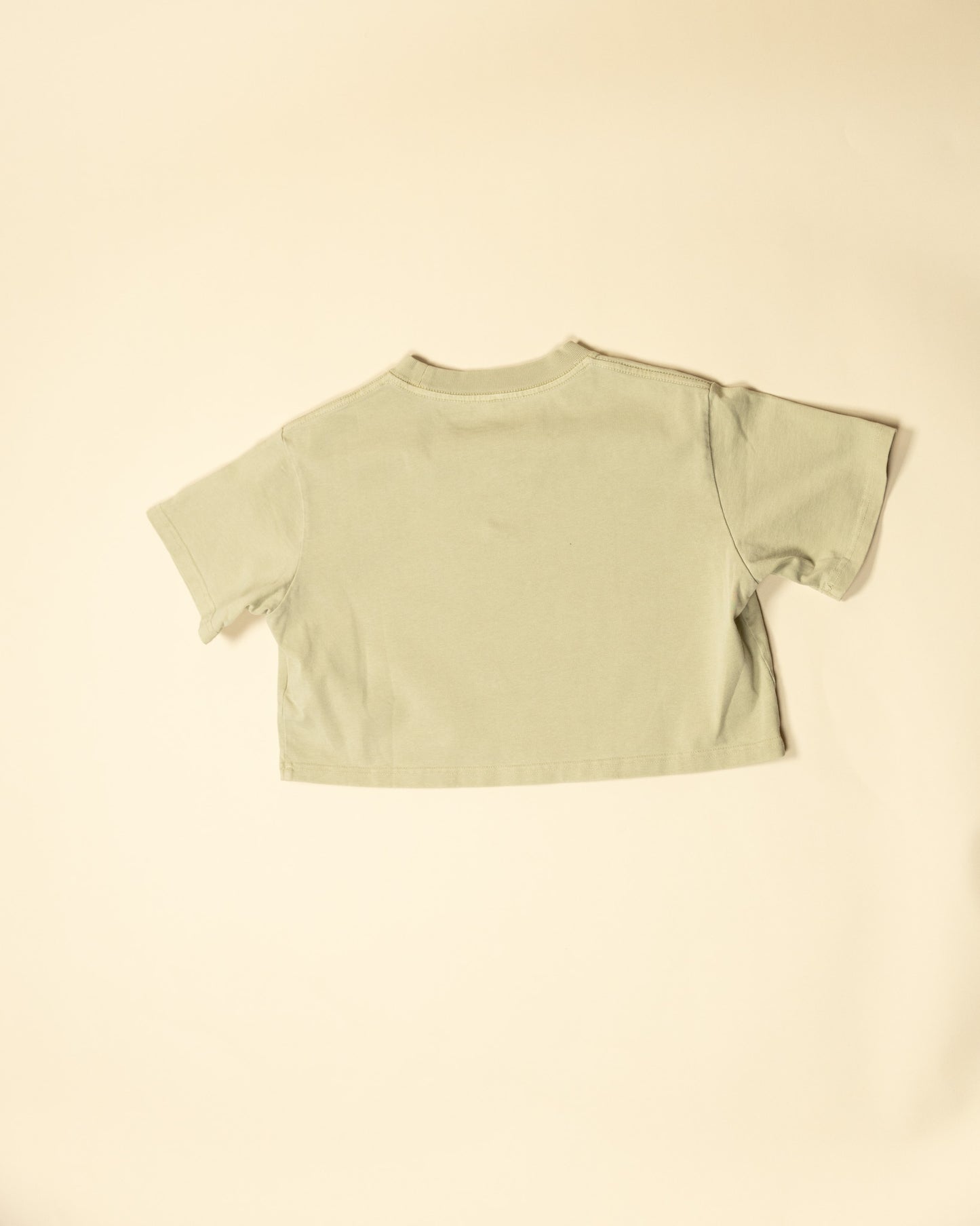 Flight Crop Tee in Tan